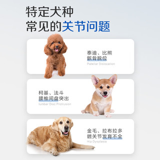 麦德氏invet鲨鱼软骨素精华素 宠物狗狗关节保护健骨修护健骨补钙 340g/盒