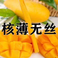 甜萌果蔬金煌芒 送人 水仙芒果青皮大芒果甜心芒海南新鲜水果盒子 超精选装(单果约350g+) 9斤装【蕞划算】净重8 9斤装【蕞划算】净重8.5