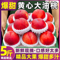 甜畅 澳大利亚 爆甜黄心大油桃 3斤/5斤