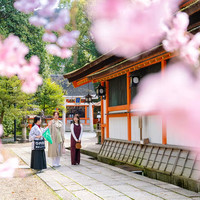 379元/晚起！日本旅行产品上新！飞猪超级VIP日本目的地专场 