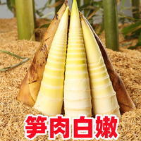 黄六爷 浙江临安特产春笋5斤新鲜手剥笋小雷笋鲜冬笋现挖生鲜竹笋鲜笋 净重1斤 250g+