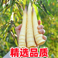 黄六爷 浙江临安特产春笋5斤新鲜手剥笋小雷笋鲜冬笋现挖生鲜竹笋鲜笋 净重5斤 250g+