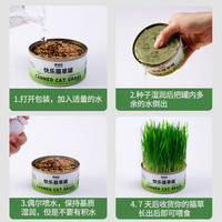 猫草盆栽小麦水培猫草种植懒人猫草罐头毛球片化毛草零食猫咪用品