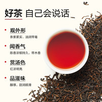 小罐茶园普洱尝鲜30袋独立小包装小罐茶旗下茶叶茶包