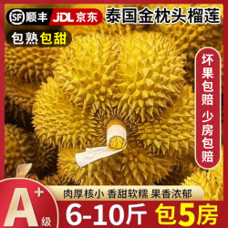 静羽 泰国金枕榴莲新鲜金枕头整个水果送礼物品 10年老树果丨更划算 报恩榴莲 4-5斤 包4房 1-2个
