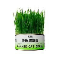 猫草盆栽小麦水培猫草种植懒人猫草罐头毛球片化毛草零食猫咪用品