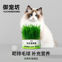 猫草盆栽小麦水培猫草种植懒人猫草罐头毛球片化毛草零食猫咪用品