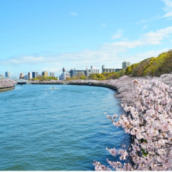 非廉价航空，含税费+行李额度！上海直飞日本名古屋/长崎/冲绳/大阪/东京4-7天往返机票