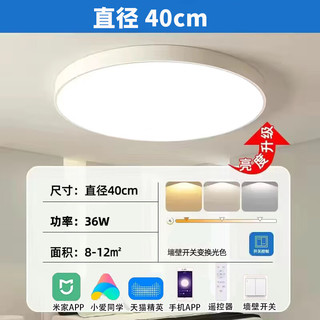 Xiaomi小米（MI）米家APP智能led吸顶灯客厅大灯房间卧室灯小爱同学智能 白色40CM米家智能