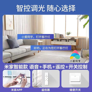 Xiaomi小米（MI）米家APP智能led吸顶灯客厅大灯房间卧室灯小爱同学智能 白色40CM米家智能