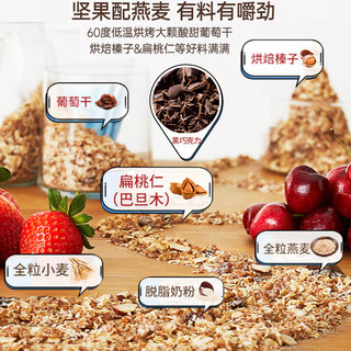 欧倍水果坚果燕麦片黑巧克力味即食冲泡早餐谷物饱腹燕麦脆代餐