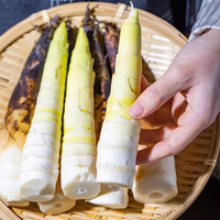 京地达临安天目山雷笋 春笋鲜笋去老根 净重3斤单果100g+源头直发