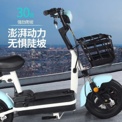 小羚羊 新国标电动车可上牌48V20AH铅酸电池续航70公里电动自行车电瓶车超长续航代步车男女通