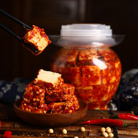 曾姐 豆腐乳 湖南新化特产香辣农家自制霉豆腐 红方无油腐乳1000g