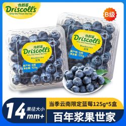 怡颗莓 蓝莓中果125g*5盒云南当季限量新鲜孕妇水果 果径14mm+