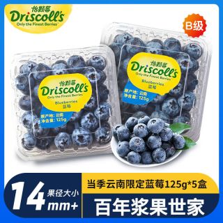 怡颗莓 蓝莓中果125g*5盒云南当季限量新鲜孕妇水果 果径14mm+