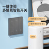  fdd/国际电工 蓝牙控制 智能开关  黑色