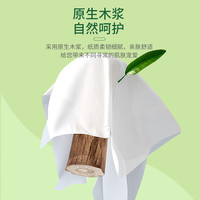 金博仕无芯卷纸厕纸5层加厚可湿水大卷 妇婴用纸 2500g18卷