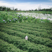 去良壤过限定版春天，含农场和野餐体验活动！浙江西塘光向度艺术酒店 霓光大床房1晚套餐（含双早+迎宾饮品+延迟退房等）