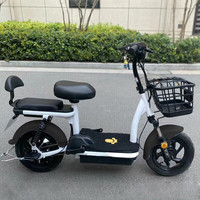 厉文 新国标电动自行车 10130277009124 12Ah铅酸电池助力约80里