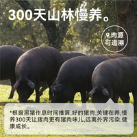 【入会专享】自由肉肉山林黑猪午餐肉mini装5片/袋