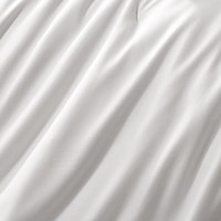 罗莱生活 LUOLAI 罗莱生活 LUOLAI 桑蚕丝被 被子被芯双人黄金丝长丝春秋被 【黄金丝+提花面料】二合一被 1.5米床 200*230cm