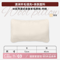 AusGolden A类抗菌 睡眠记忆枕头 香金 胖枕一对