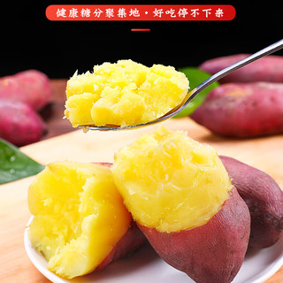 京地达海南澄迈桥头富硒地瓜净重5斤精品礼盒番薯新鲜蔬菜源头直发 5斤一级精品礼盒装