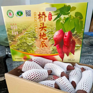 京地达海南澄迈桥头富硒地瓜净重5斤精品礼盒番薯新鲜蔬菜源头直发 5斤一级精品礼盒装