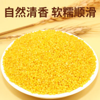 黄小米杂粮 1kg