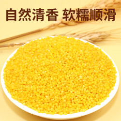 黄小米杂粮 1kg