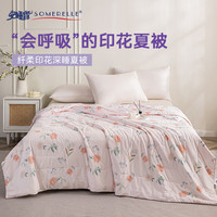 安睡宝（SOMERELLE） 被子被芯家纺 宿舍 可机洗水洗被子被褥 夏被-简致（蓝） 150*215cm