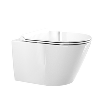 恩仕（AXENT）Oli壁挂马桶入墙小户型悬挂马桶隐藏水箱挂墙家用直冲墙排坐便器 Oli壁挂马桶(矮水箱套餐)