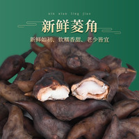采鲜惠 新鲜菱角 老菱角大青嫩菱角米粉糯带壳 0.5kg