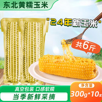 2024新鲜粘黏苞米粗粮东北黄甜糯玉米大棒主食代餐真空装早餐