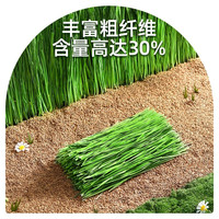 YEE提摩西草中段兔子龙猫豚鼠荷兰猪仓鼠岷县烘干垫料北提磨牙牧草料 特级烘干纯叶-1000g【袋装】