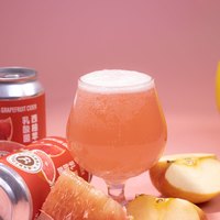 ACME BREWING/即刻酿造 精酿 果酒