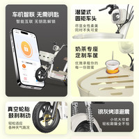 凤凰（Phoenix）电动车男女生小型轻便新国标电动自行车双人代步长续航通勤电单车两轮助力车电瓶车 樱花粉【 终身质保】 【石墨烯】12A载能-助力续航70公里