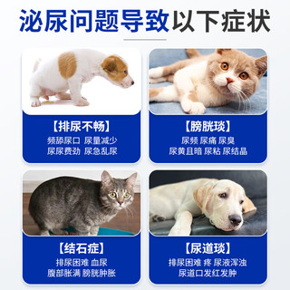 Angelamiao利尿通 猫咪狗狗尿石消尿结石排尿不畅滴尿漏尿尿痛尿血尿闭膀胱泌尿系统
