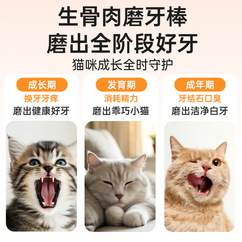 MollyBox猫咪磨牙棒猫零食冻干小猫幼猫咪磨牙棒猫咪洁牙洁齿
