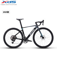 喜德盛 公路自行车2025-AD350碳纤前叉功率计齿盘铝合金超轻气动车架 鸽子灰 480