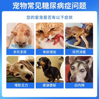 SMVP健宜宁Caninsulin狗狗猫咪糖尿病长效胰岛素降低血糖血脂浓度糖尿 健宜宁10ml整瓶