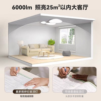 鹿家良品(LUUGAA)双圈鹅卵石客厅吸顶灯全光谱护眼客厅灯大灯现代简约卧室灯具 pro版全光谱110cm无极光107W智能联动 【荐】全光谱110cm无极107w智能联动