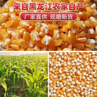 溢田【东北大碴粥】黏玉米大碴粥料农家笨碴子现磨大碴子粗粮早餐