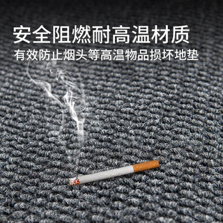 达特迈德（Datamind） 公司大门口地垫酒店进门迎宾别墅入户门垫办公室商用脚垫 蓝色【份量重上档次】 100*120cm