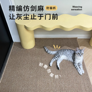 入户门地垫仿剑麻地毯门垫进门大门口入门玄关门外家用脚垫可裁剪