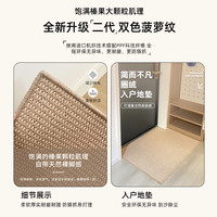入户门地垫仿剑麻地毯门垫进门大门口入门玄关门外家用脚垫可裁剪 双色大颗粒-深灰-棉布底【品质升级】