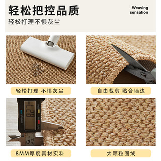 入户门地垫仿剑麻地毯门垫进门大门口入门玄关门外家用脚垫可裁剪