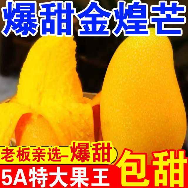 亿熙 越南金煌芒果 60W+新鲜水仙芒 大芒果 整箱批发价