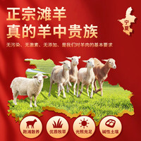 今友牧场宁夏滩羊 羊肉礼盒 12斤整半只 新鲜现宰半羊 品生鲜源头直发